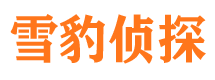 岢岚市婚姻调查